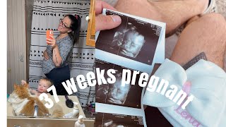 GETTING READY FOR BABY!  Nesting and Organizing, 37 Weeks Pregnant, Part One