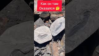 неожиданно #путешествия #камни #защита#во времени #каменныйвек