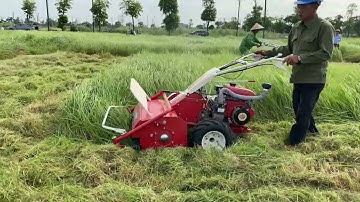 Máy cắt cỏ trục băm tự hành Mitsubishi TL662MS đường cắt 7 tấc,Làm việc hiệu quả năng suất