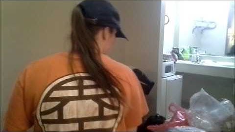 Botcon 2016 [Final Botcon] Vlog