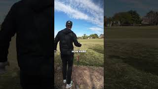 BIRDIE!!!