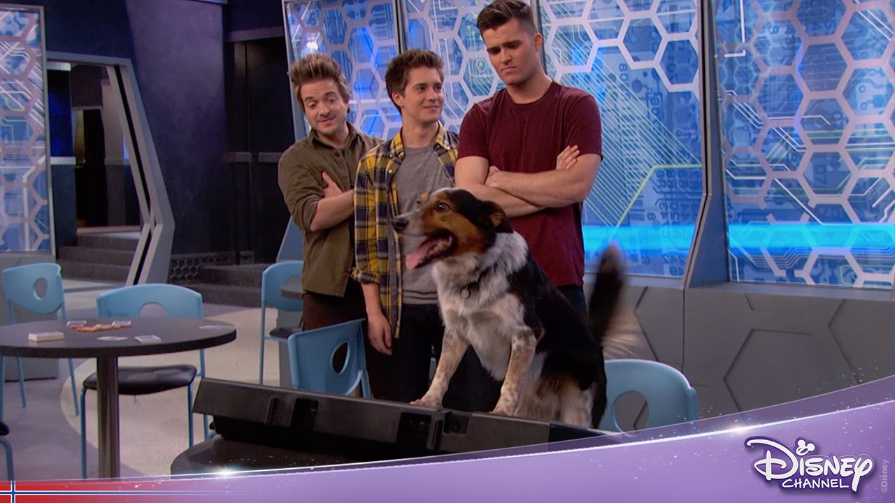 Lab Rats Adams nye hundevenn Disney Channel YouTube