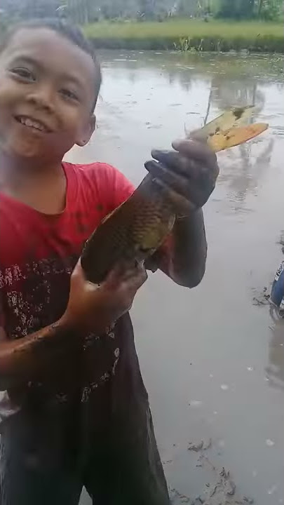 Kampung aden...20191225_091847