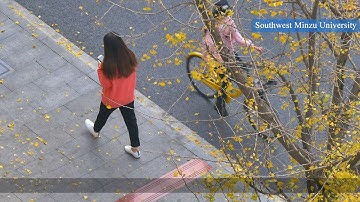 ZTE FDD Massive MIMO application with China Telecom in Sichuan Province