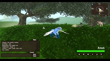 Glasmar Bug Report #3 Player and NPC HP