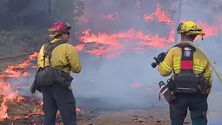 Bay Area crews head to Sierra to battle Mosquito Fire
