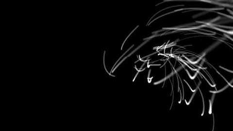 Quartz Composer -Lines