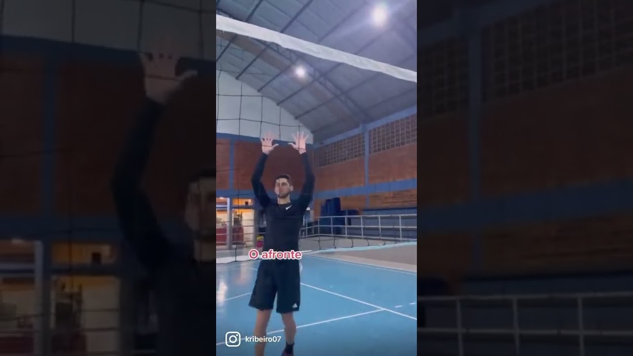 Volleyball fans videos download 🏐