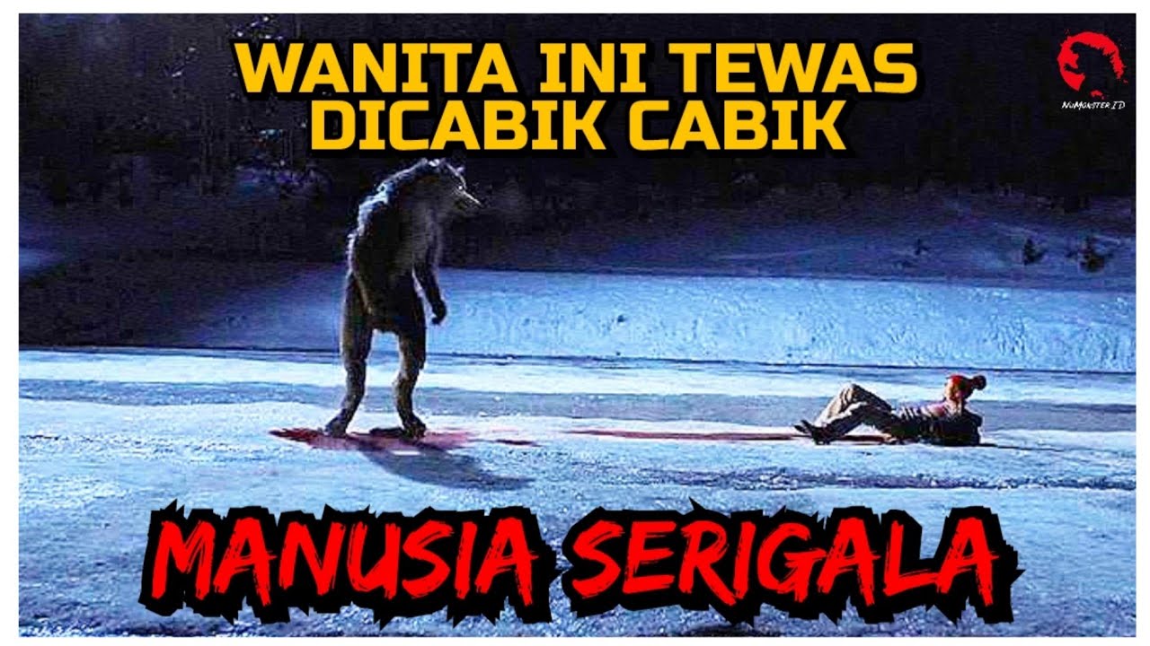 KOTA YANG TADINYA DAMAI DITEROR MAKHLUK MENGERIKAN YANG TERNYATA... | ALUR CERITA