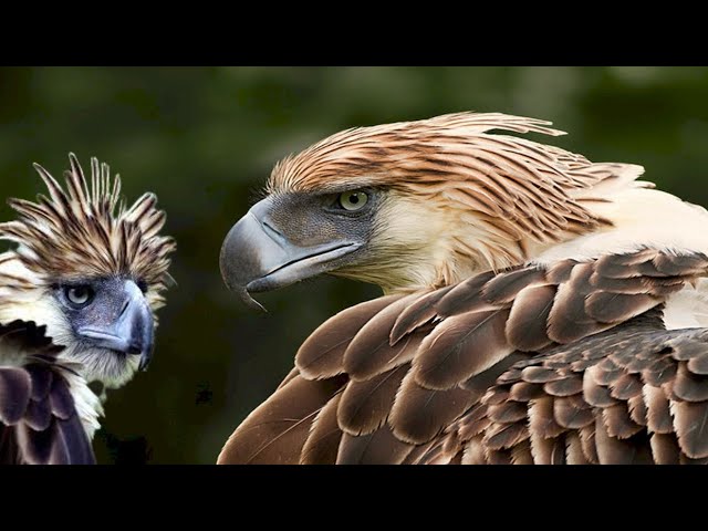 Cotización Banco Santander visual data 7