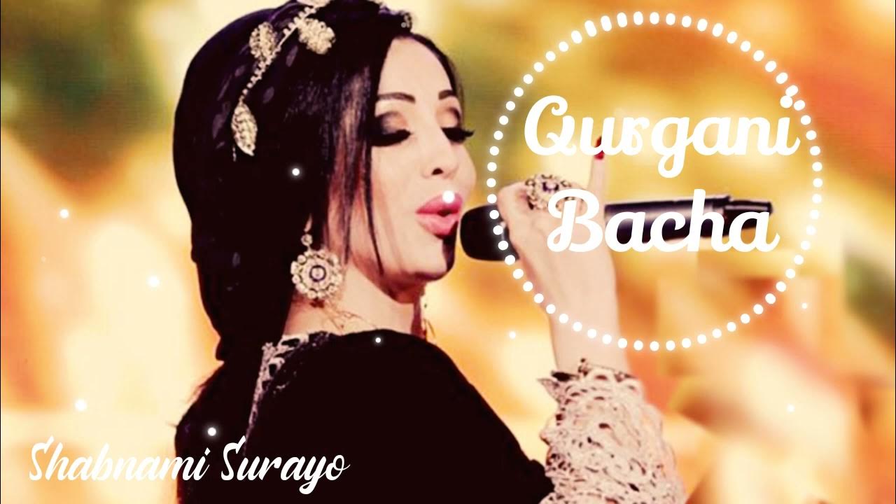 Шабнами сураё 2018. Таджикски песня шабнам. Шабнами сураё 2023. Shabnami surayo 2023. Год рождения шабнами собири!.