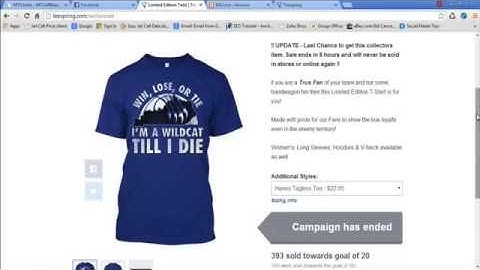 FB Ads Teespring Masterclass - TeeSpring Facebook Ads Campaign - Free TeeSpring FB Ads Training