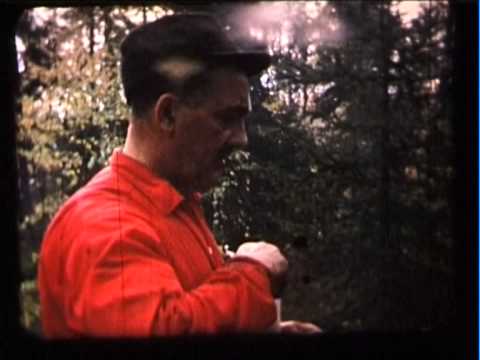 Gästboken berättar från smlafilm