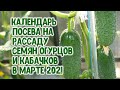 Календарь посева семян огурцов и кабачков на рассаду в марте 2021 года. Агрогороскоп