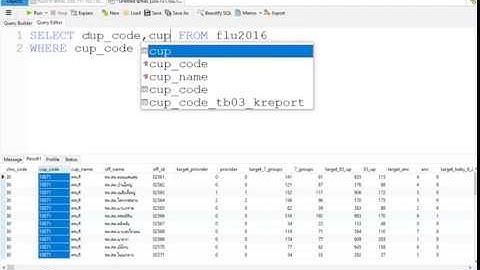 How to use IN with Navicat | MYSQL