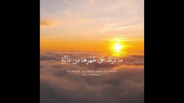 ﴿وَلَو يُؤاخِذُ اللَّهُ النّاسَ بِما كَسَبوا} تلاوة جميلة جدًا للقارئ محمد علي المقحم.