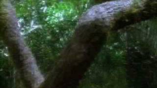 Star Trek: Voyager 209 - "Tattoo" (UPN trailer)