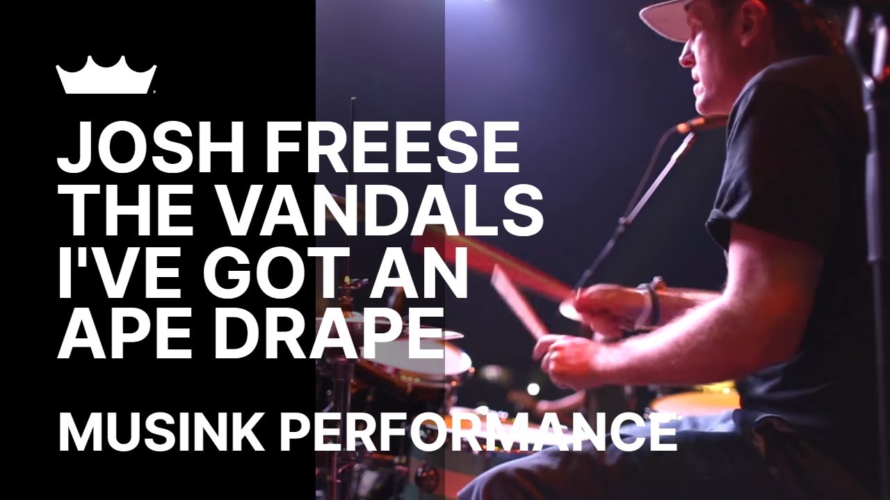Josh Freese / The Vandals: I've Got An Ape Drape | Remo