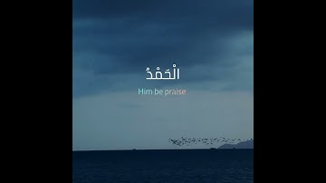 فسبحن الله حين تمسون وحين تصبحون || القارئ عمر محمد نفيس