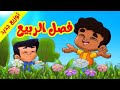 طيور الجنة  طيور بيبي فصل الربيع توزيع جديد طيور بيبي  