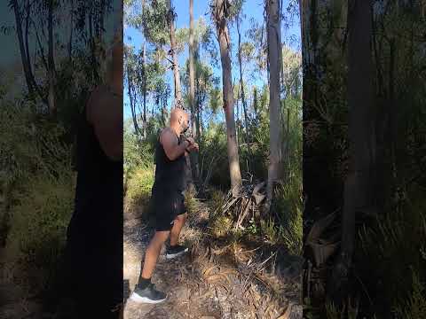 train hardening on the tree #training #taekwondo #karate #hapkido #martialarts #kenpo #ironhands