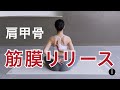 【セルフでここまでほぐれる！】肩甲骨剥がし&背中引き締め