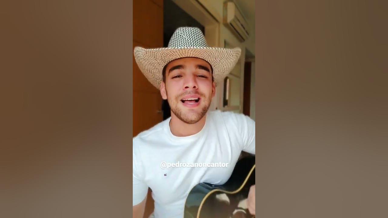Fazendinha de Madeira - Us Agroboy Part. Fernando e Sorocaba (Cover Pedro Zanon)