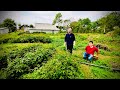 Khó Khăn Bế Tắc Cả Nhà Anh Trường Đều Là Bệnh Nhân. Phuc Bang