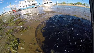 Spherical Amphibious Robot Crosses Water Channel | GuardBot