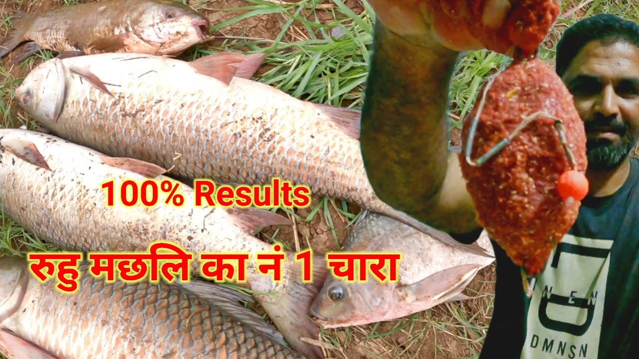 ईस चारे पे रुहु मछलि की मौत,rohu fishing bait, रुहु मछलि का चारा कैसे बनाऐ, rohu lovers