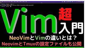 Vim超入門 VimとNeoVimの違いについて解説。init.vimと.tmux.confをまるごと公開。これでVimはマスター!?