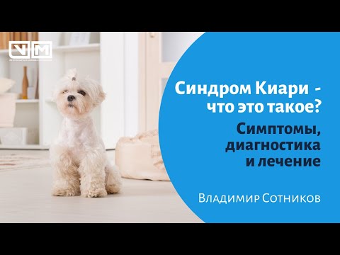 Синдром Киари - что это?