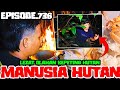 Berburu kepiting sungai liar masak di rumah pohon rasanya gurih renyah  wkk manusia hutan eps736