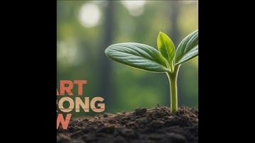 The First 90 Days: Proven Strategies for Getting Up to Speed Faster and Smarter