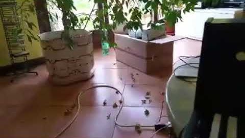 Korg MS 20 space sound