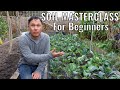 What i do to have the best organic garden  soil masterclass for beginners
