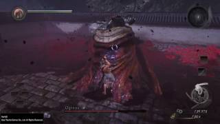 Nioh - Ogress at Level 1 No Rolling, Dodging or Blocking Flawless Kill