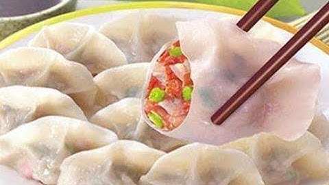 AUTOMATIC GYOZA FORMING MACHINE (全自動型餃子成形機