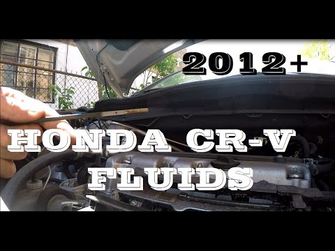 How to check Fluids in Honda CRV. Maintenance - YouTube