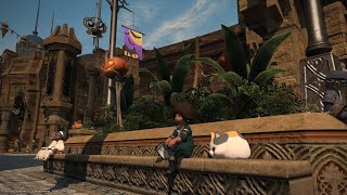 Fight-Night Climb in SF6 then move over to GG