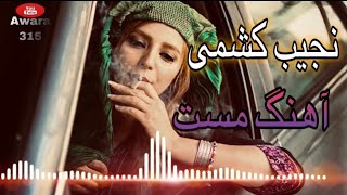 نجیب کشمی جدید (یارانه) ١۴٨ | Najib keshmi New song