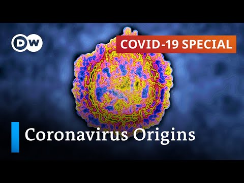 Video: Coronavirus in Poland. Virologist on pandemic scenarios: 