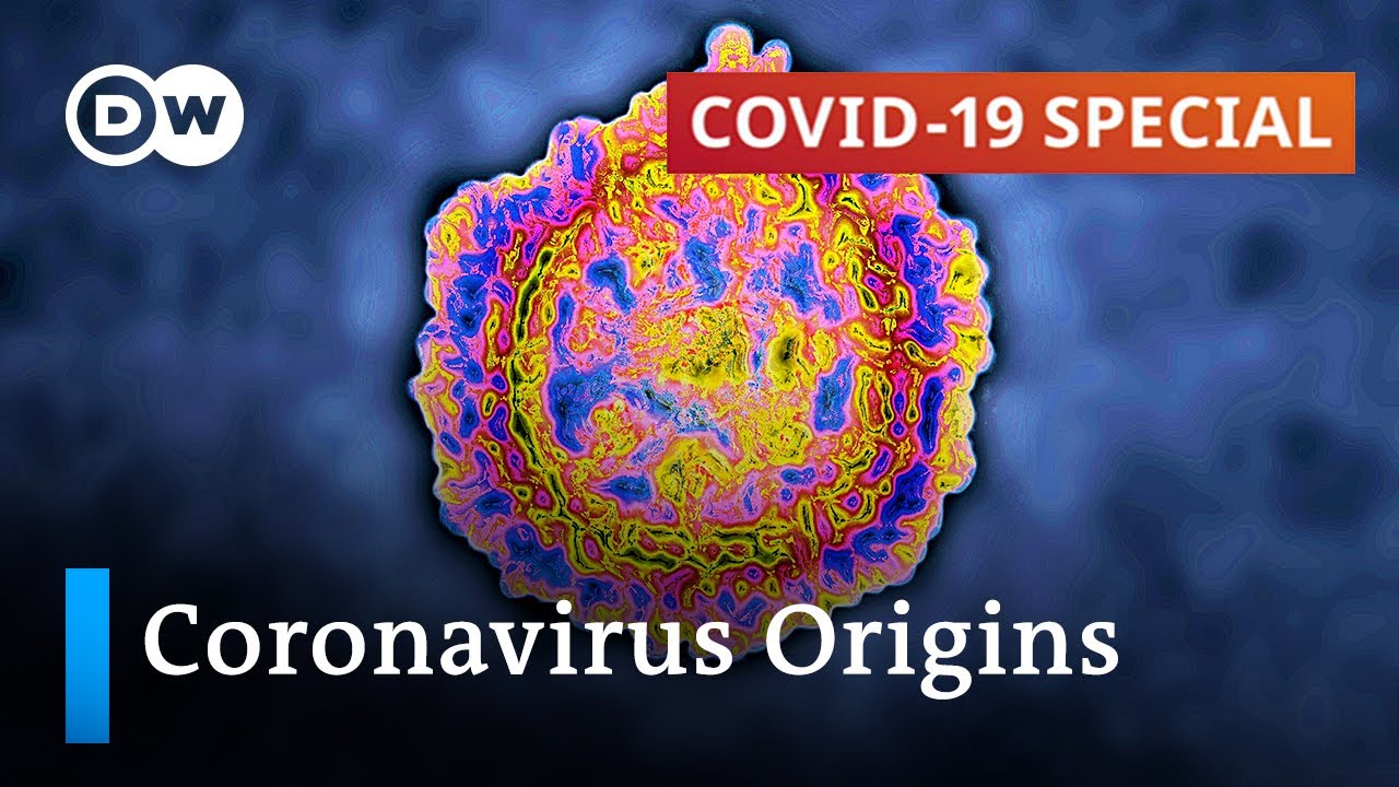 How forensic researchers track down the origins of SARS-CoV2 | COVID-19 Special - DW News