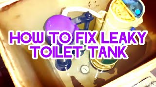 How To Fix A Leaky Toilet Tank
