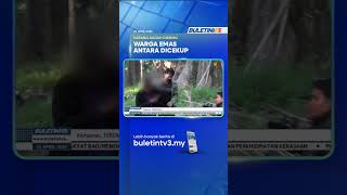 Op Perdana  Aadk Serbu Sarang Dadah 169 Penagih Ditahan