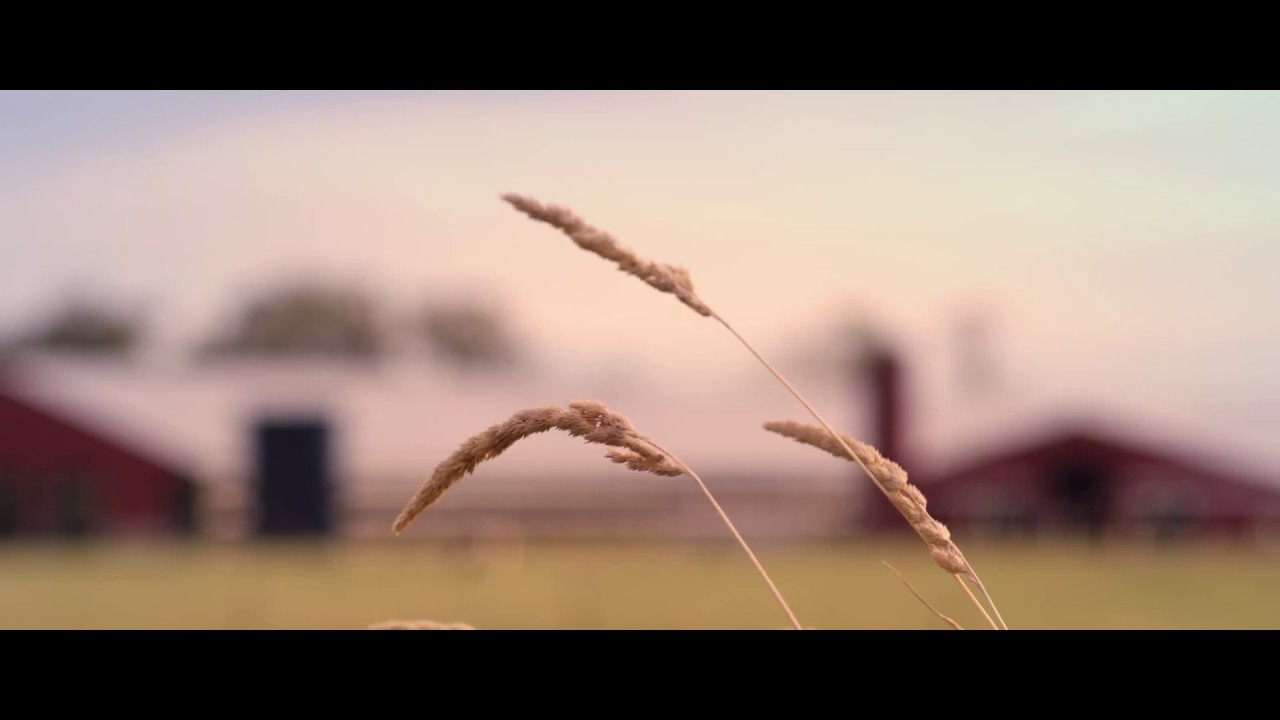 This Is Washington Dairy