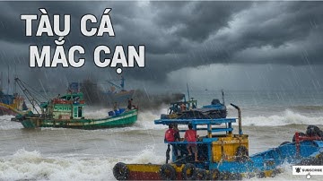 “MẮC CẠN - Tàu Cá VA CHẠM Khi Vào Cửa Biển LAGI” || Những Sự Cố Bất Ngờ Chỉ Trong 1 Buổi Sáng