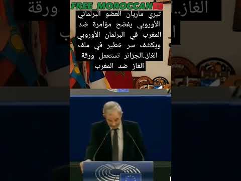 تيري ماريان العضو البرلماني الأوروبي يفضح مؤامرة ضد المغرب في البرلمان الأوروبي من طرف فرنسا و