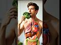 SubscribeWhat Happens to Broccoli in Your Digestive System #motivation #menshealth #shorts #usa