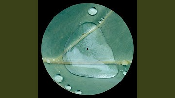 Balance, Pt. 4 (Holism)